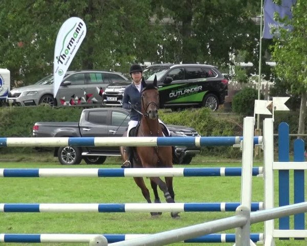 Reitturnier Gardelegen 2019