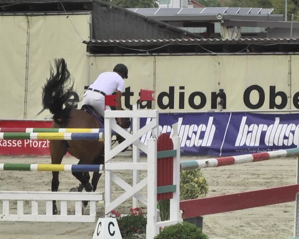 Reitturnier Oberderdingen 2019
