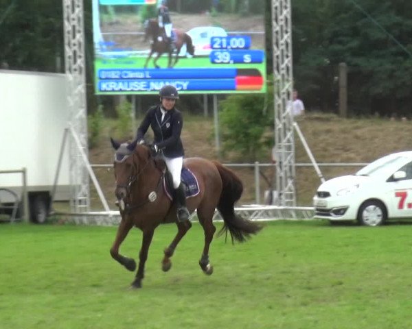 Reitturnier Gardelegen 2019