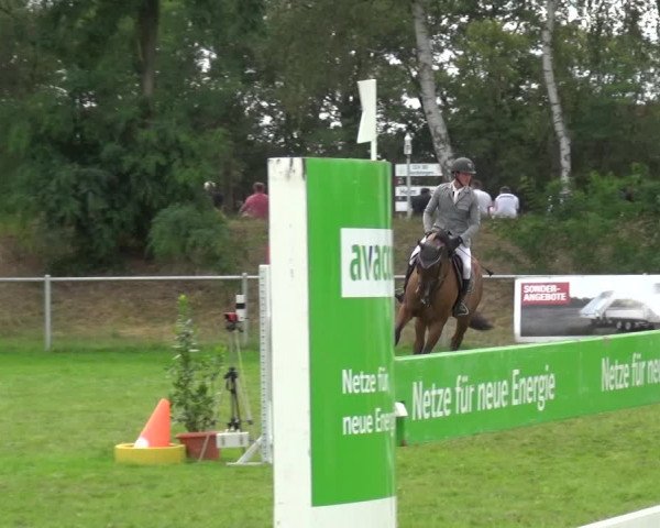Reitturnier Gardelegen 2019