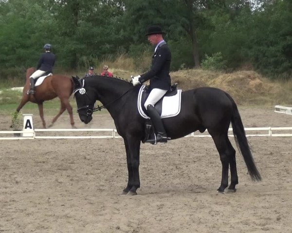 Reitturnier Gardelegen 2019