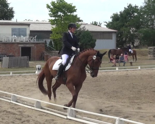 Reitturnier Gardelegen 2019