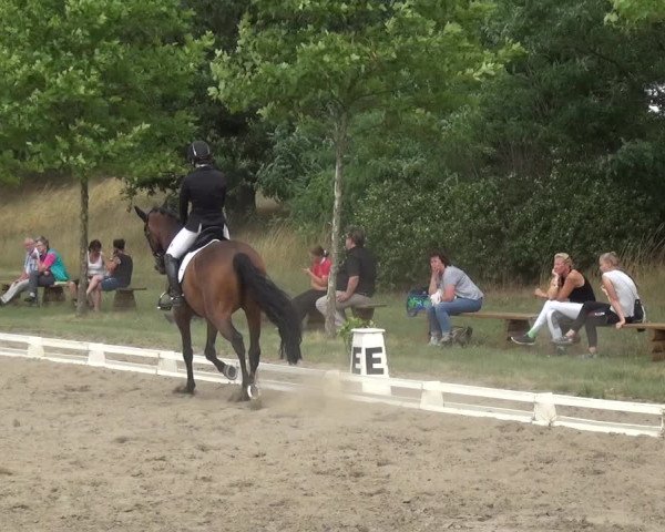 Reitturnier Gardelegen 2019