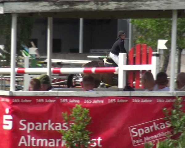 Reitturnier Gardelegen 2019