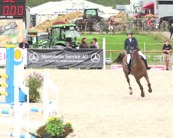 Reitturnier Zuoz 2019
