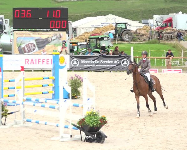 Reitturnier Zuoz 2019