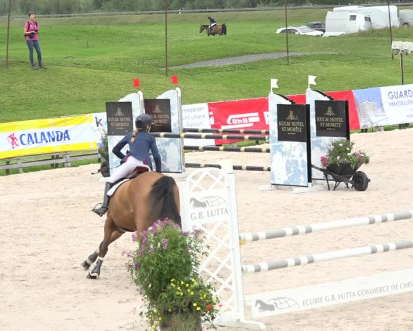 Reitturnier Zuoz 2019
