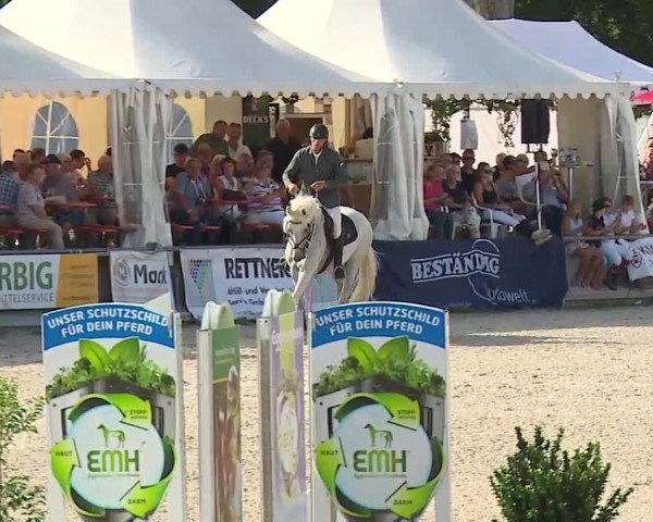Reitturnier Grafenrheinfeld 2019