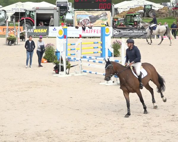 Reitturnier Zuoz 2019