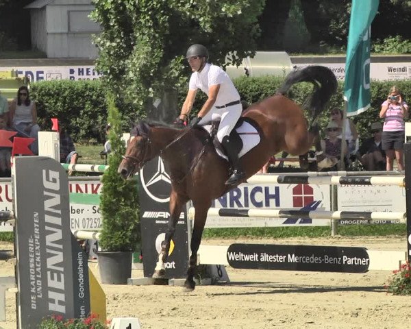 Reitturnier Oberderdingen 2019