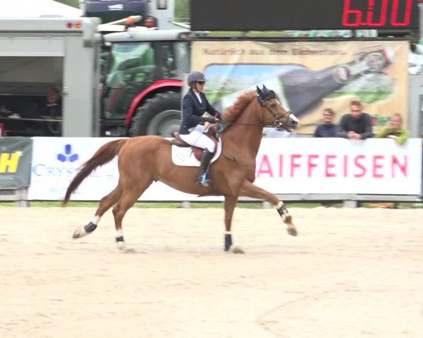 Reitturnier Zuoz 2019
