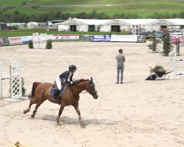 Reitturnier Zuoz 2019