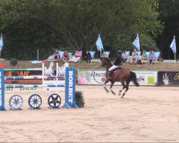 Reitturnier Görlitz 2019