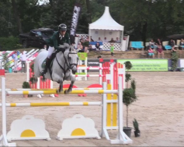 Reitturnier Görlitz 2019