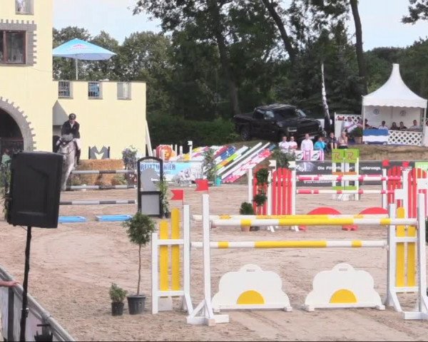 Reitturnier Görlitz 2019