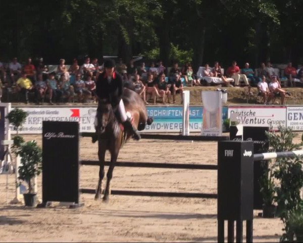 Reitturnier Görlitz 2019