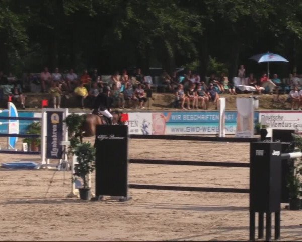 Reitturnier Görlitz 2019
