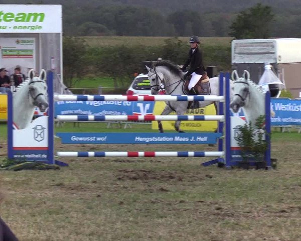 Reitturnier Behrendorf 2019
