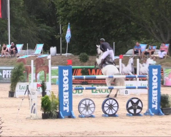 Reitturnier Görlitz 2019