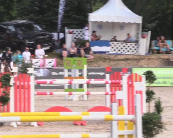 Reitturnier Görlitz 2019