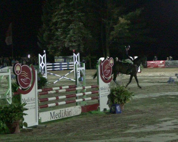 Reitturnier Waltrop 2019