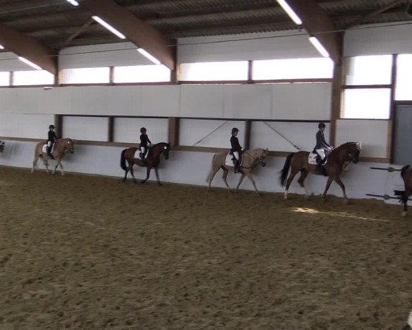 Reitturnier Waltrop 2019