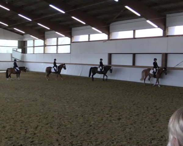 Reitturnier Waltrop 2019