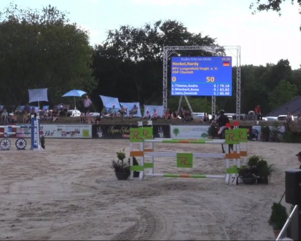 Reitturnier Görlitz 2019
