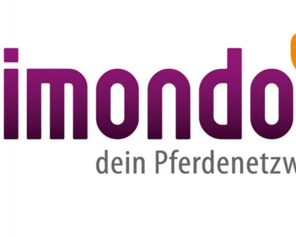 Reitturnier Görlitz 2019