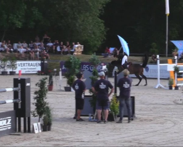 Reitturnier Görlitz 2019