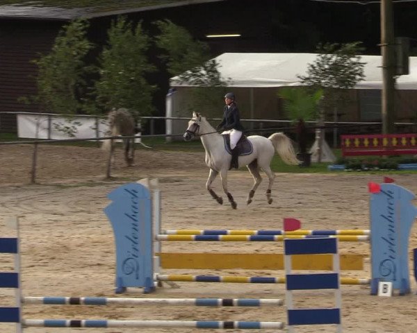 Reitturnier Neunkirchen-Salchendorf 2019