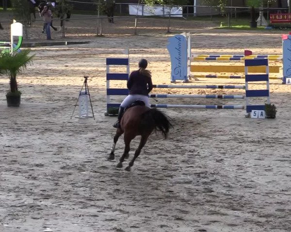 Reitturnier Neunkirchen-Salchendorf 2019