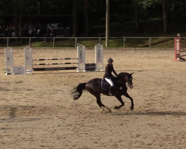 Reitturnier Neunkirchen-Salchendorf 2019