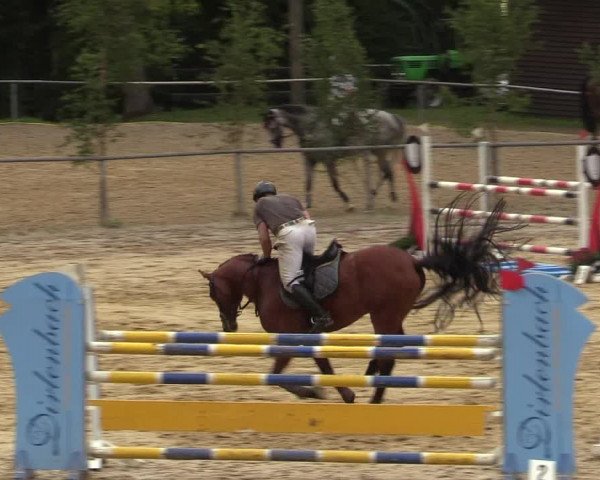 Reitturnier Neunkirchen-Salchendorf 2019