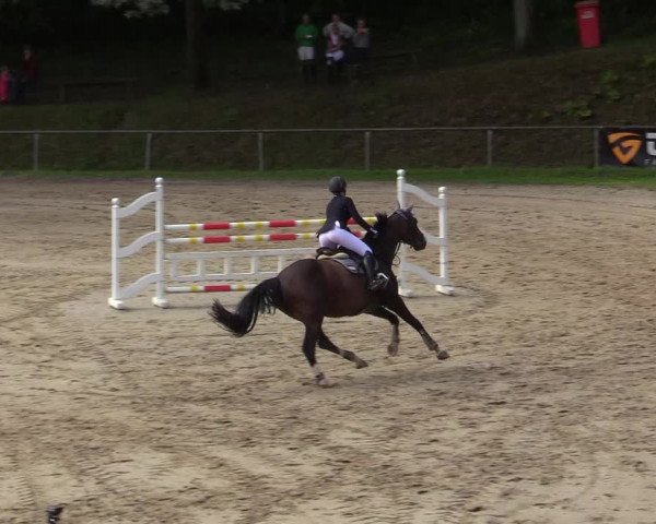 Reitturnier Neunkirchen-Salchendorf 2019