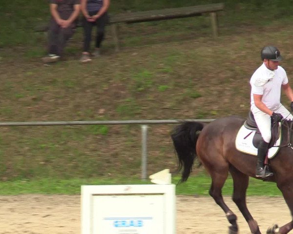 Reitturnier Neunkirchen-Salchendorf 2019