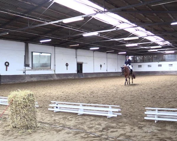 Reitturnier Ascheberg 2021