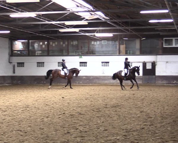 Reitturnier Ascheberg 2021
