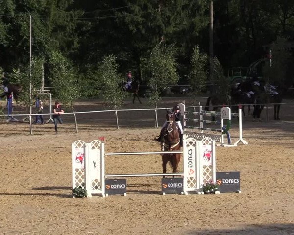Reitturnier Neunkirchen-Salchendorf 2019