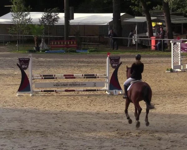 Reitturnier Neunkirchen-Salchendorf 2019
