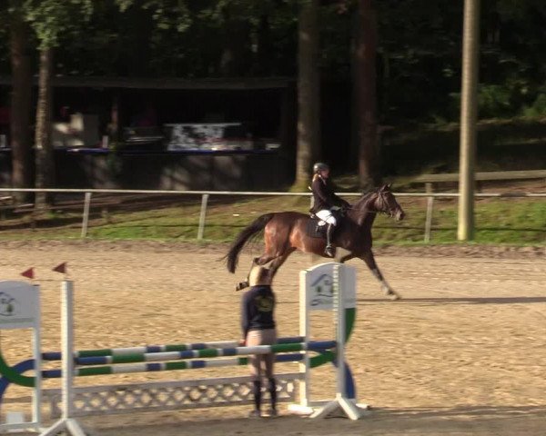 Reitturnier Neunkirchen-Salchendorf 2019