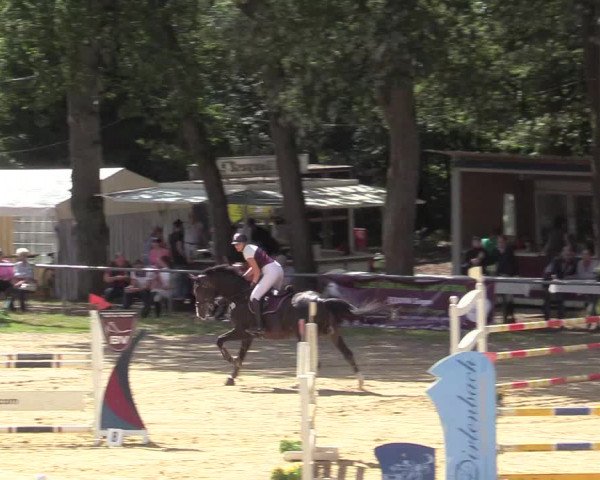 Reitturnier Neunkirchen-Salchendorf 2019