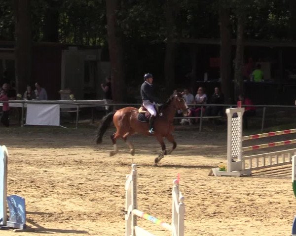 Reitturnier Neunkirchen-Salchendorf 2019