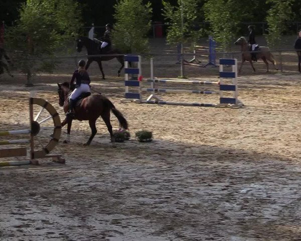 Reitturnier Neunkirchen-Salchendorf 2019