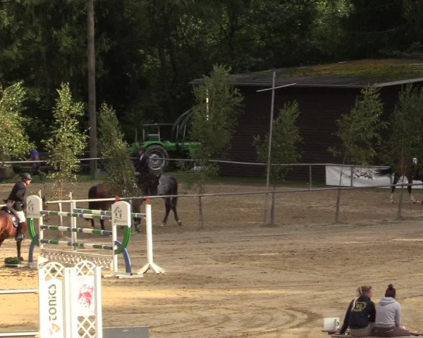 Reitturnier Neunkirchen-Salchendorf 2019