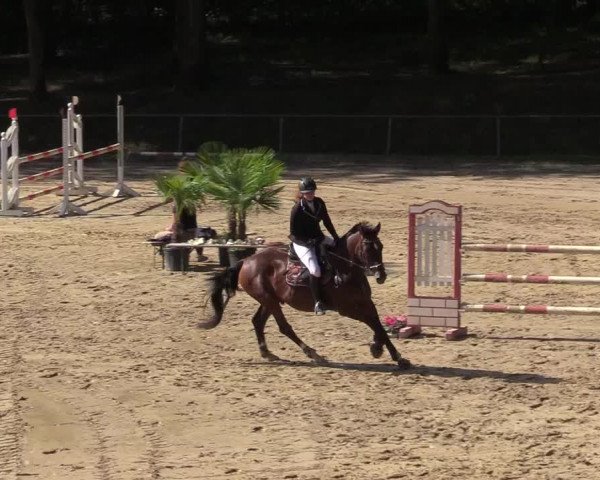 Reitturnier Neunkirchen-Salchendorf 2019