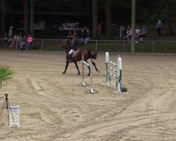 Reitturnier Neunkirchen-Salchendorf 2019