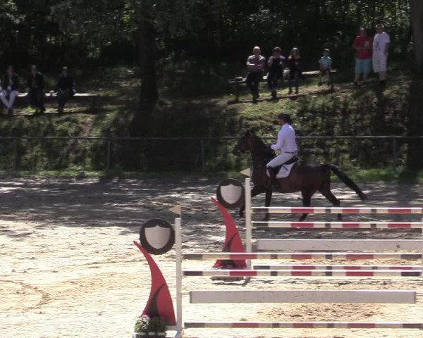 Reitturnier Neunkirchen-Salchendorf 2019