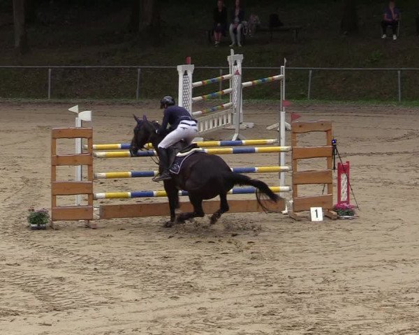 Reitturnier Neunkirchen-Salchendorf 2019