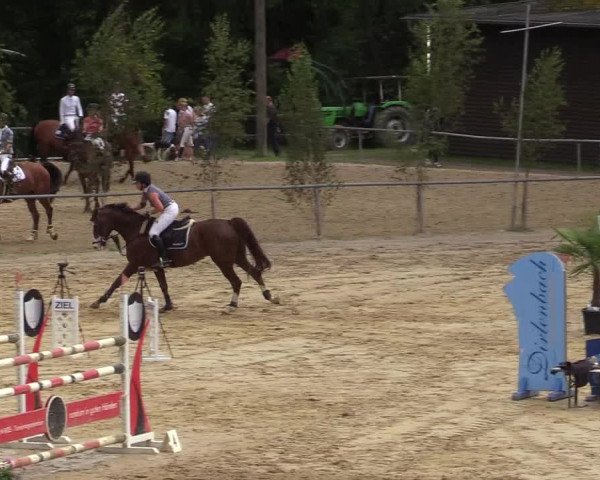 Reitturnier Neunkirchen-Salchendorf 2019